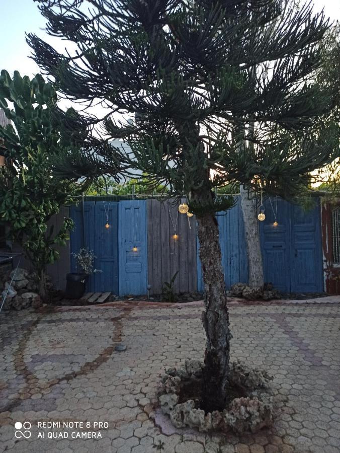 Cactus Home Kalamaki  Exterior photo